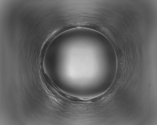 X0000057560395200509231205