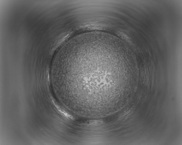 X0000057560398200509231205