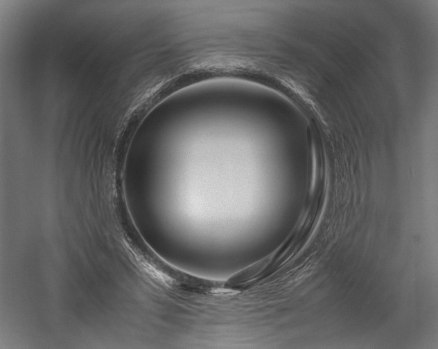 X0000057560399200509231205