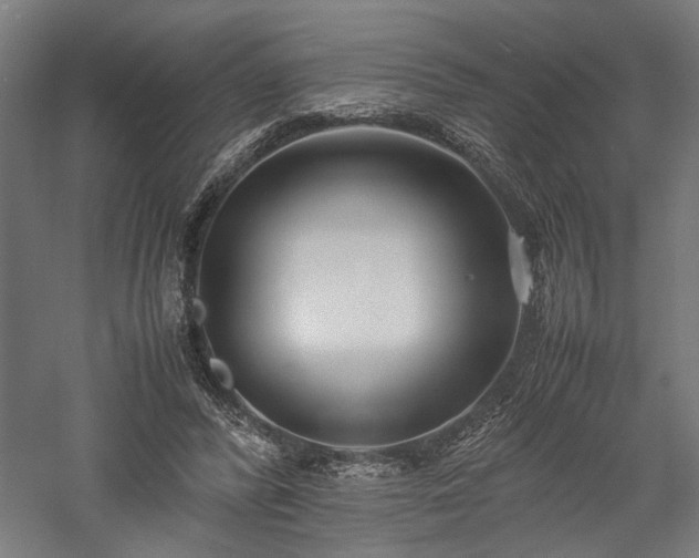 X0000057560400200509231205