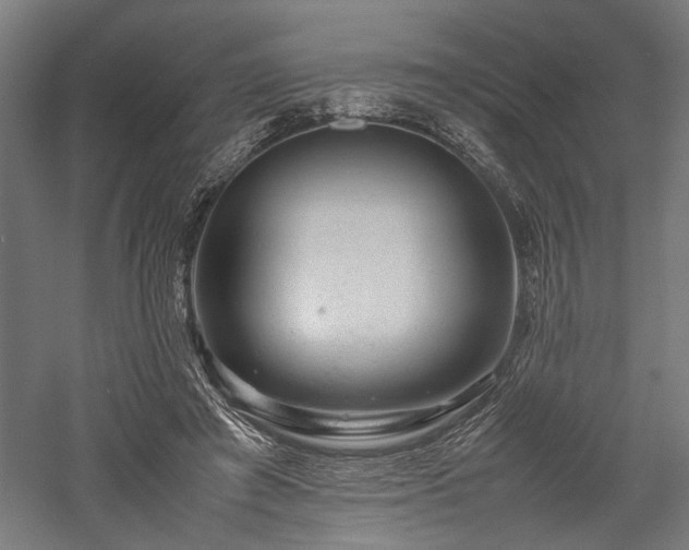 X0000057560401200509231205