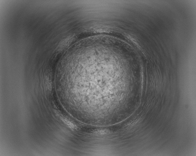 X0000057560402200509231204