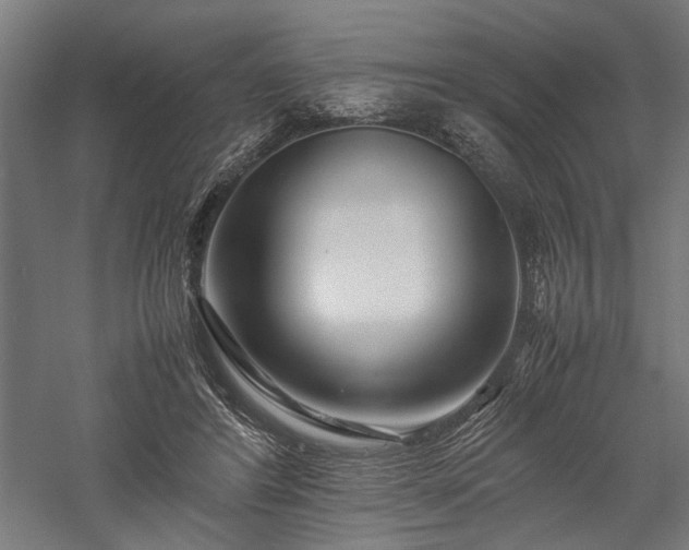 X0000057560404200509231204