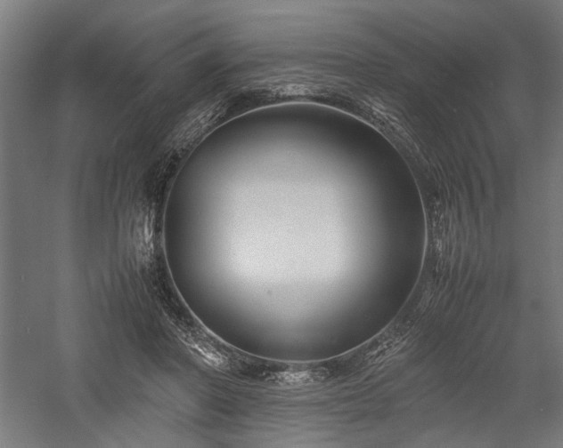 X0000057560406200509231204