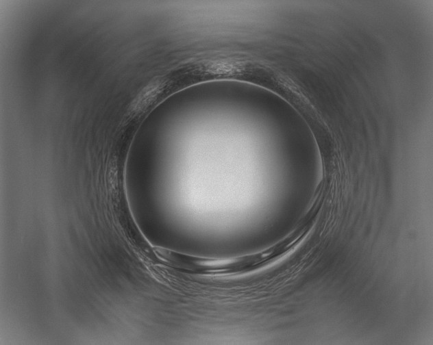 X0000057560407200509231204