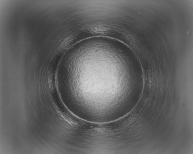 X0000057560408200509231204