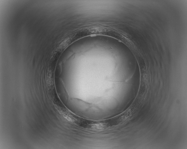 X0000057560411200509231204