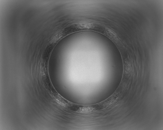 X0000057560414200509231204