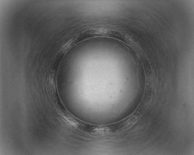 X0000057560415200509231204