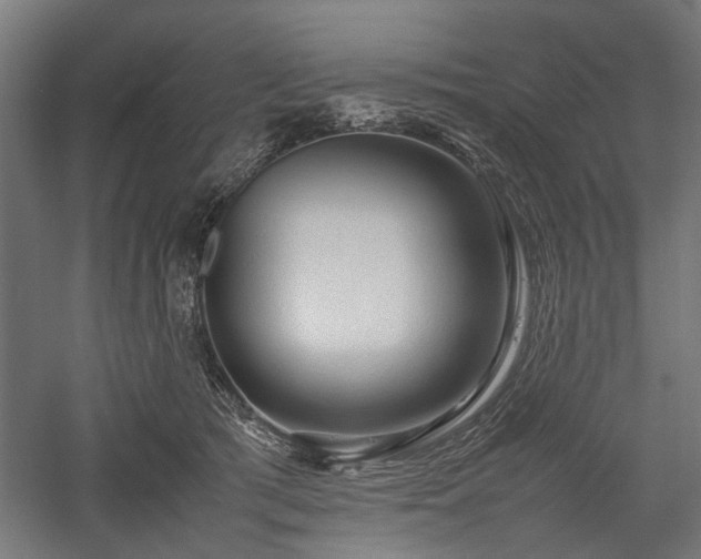 X0000057560417200509231204