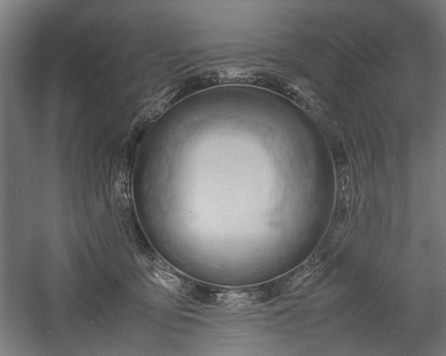 X0000057560419200509231204