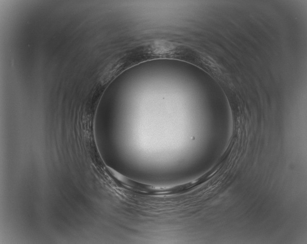 X0000057560421200509231204