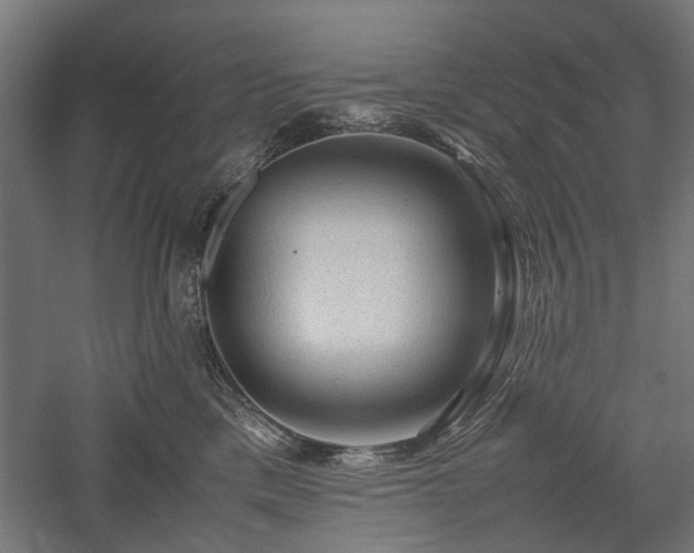 X0000057560425200509231204