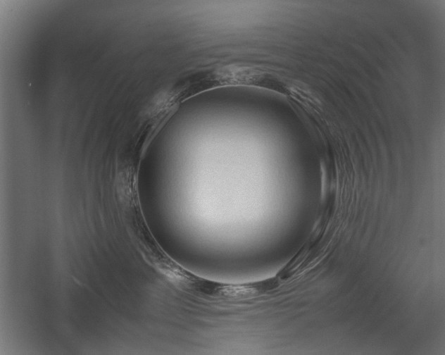 X0000057560429200509231204