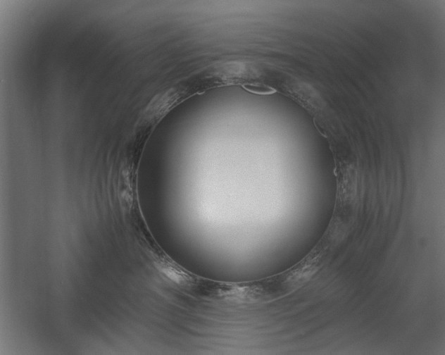 X0000057560430200509231204