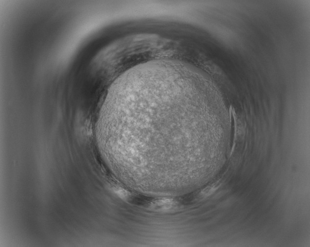 X0000057560431200509231204