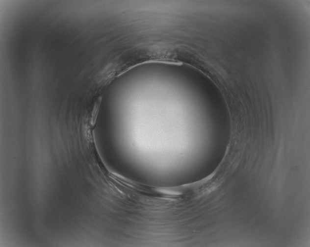 X0000057560432200509231204