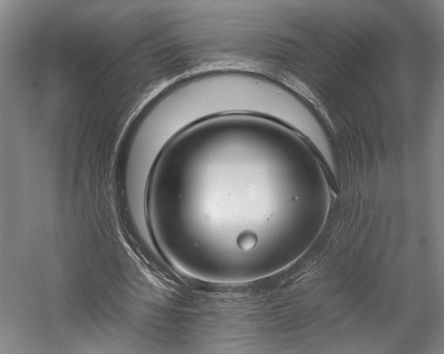 X0000057560436200509231203