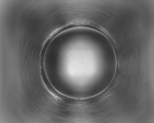 X0000057560438200509231203