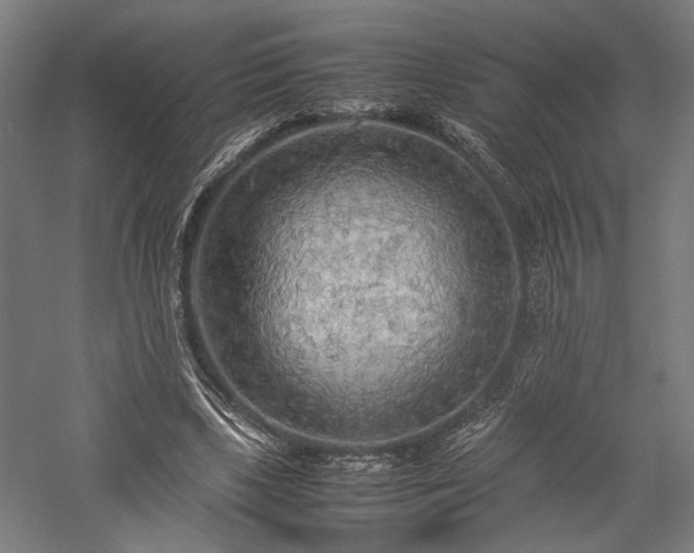 X0000057560443200509231203