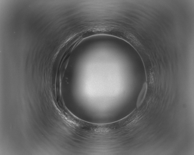 X0000057560444200509231203