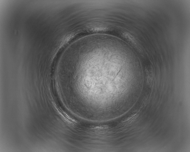 X0000057560447200509231203