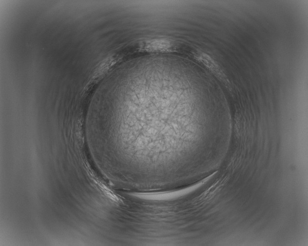 X0000057560449200509231203