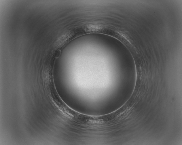 X0000057560455200509231204