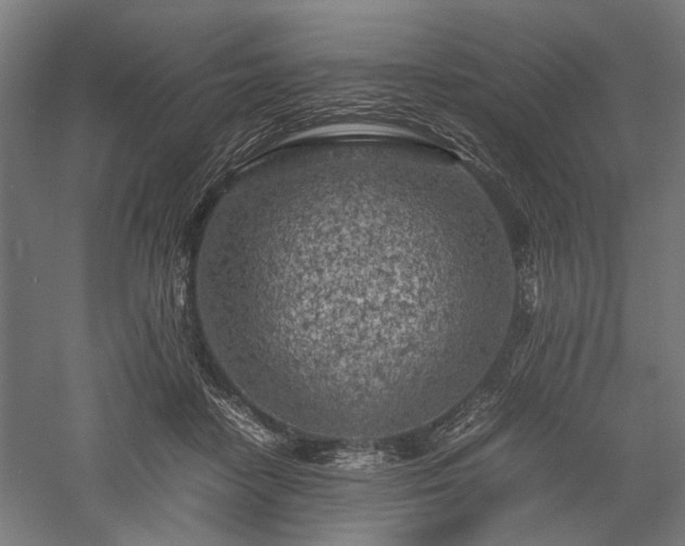 X0000057560458200509231204