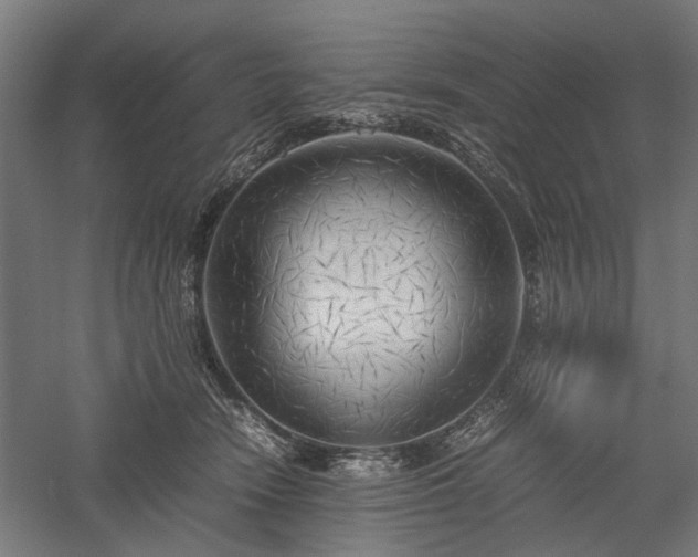 X0000057560466200509231204