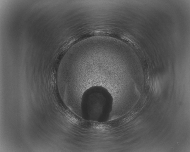 X0000057560467200509231204