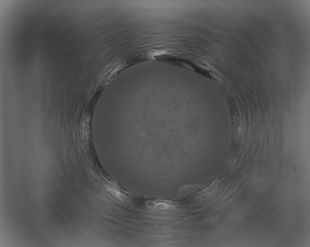 X0000057560475200509231204