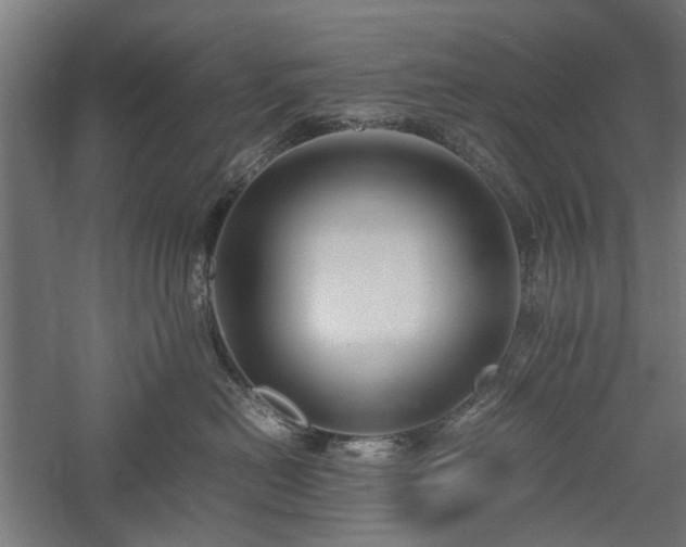 X0000057560478200509231204