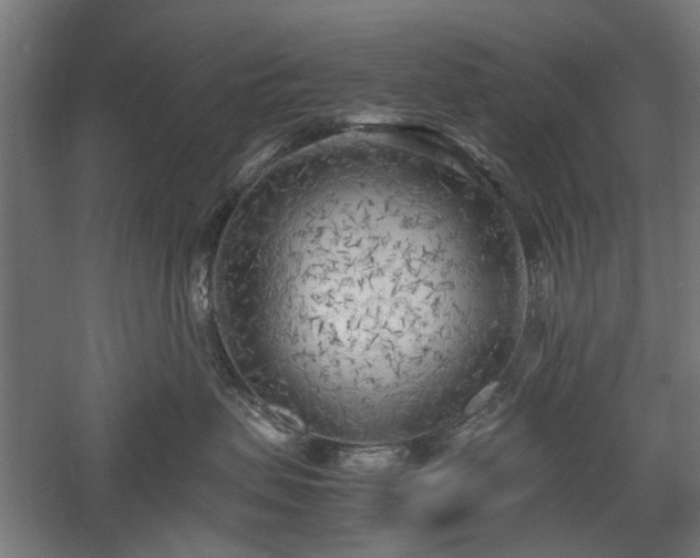 X0000057560479200509231204