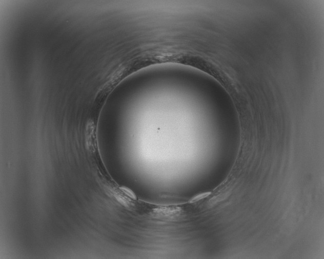 X0000057560480200509231204