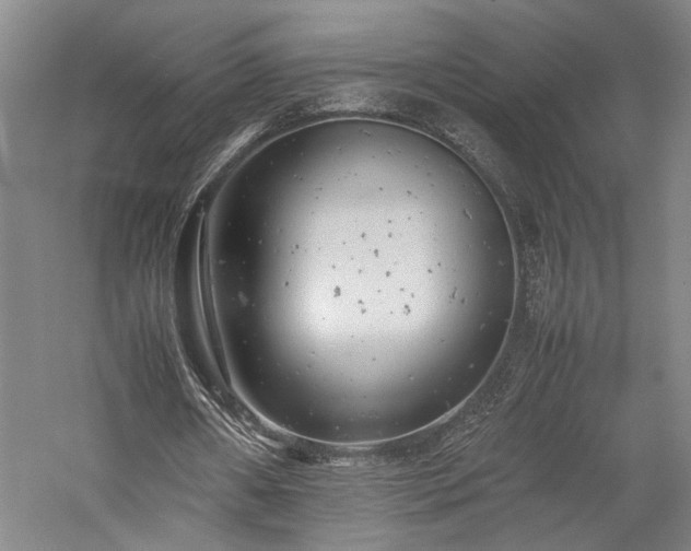 X0000057560482200509231203