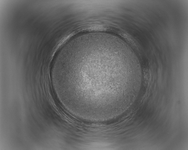 X0000057560487200509231203