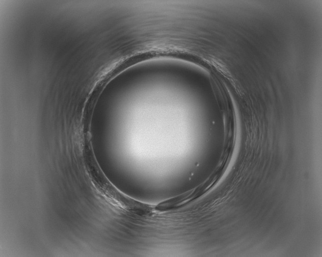 X0000057560488200509231203