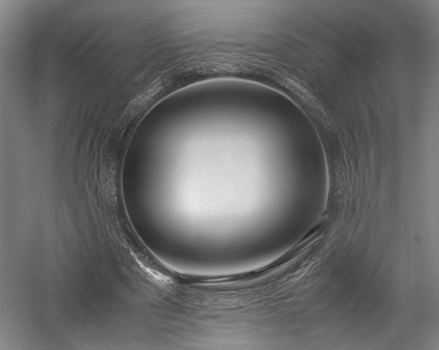 X0000057560489200509231203