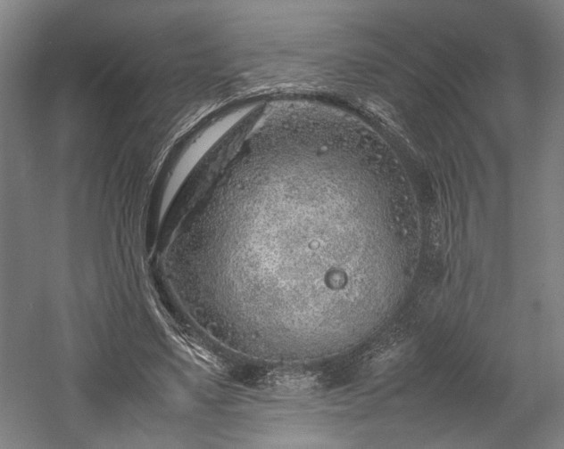 X0000057560491200509231203