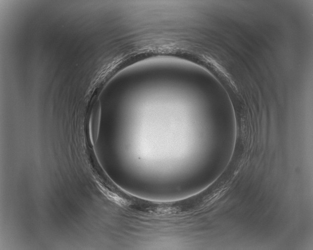 X0000057560493200509231203