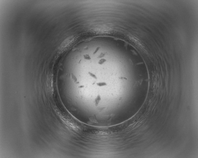 X0000057560494200509231203