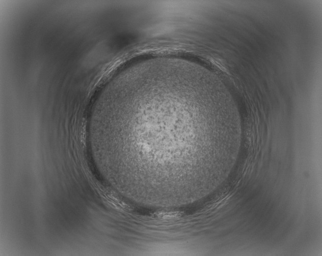 X0000057560495200509231203