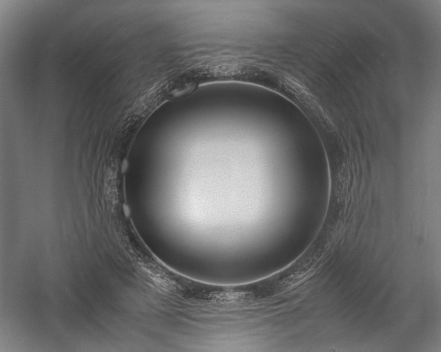 X0000057560497200509231203