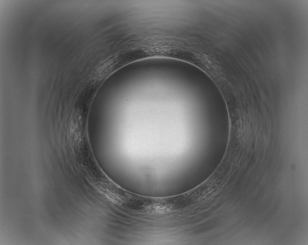 X0000057560498200509231203