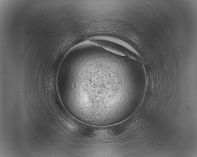 X0000057560499200509231203