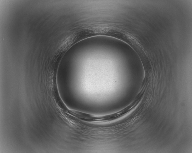 X0000057560501200509231203