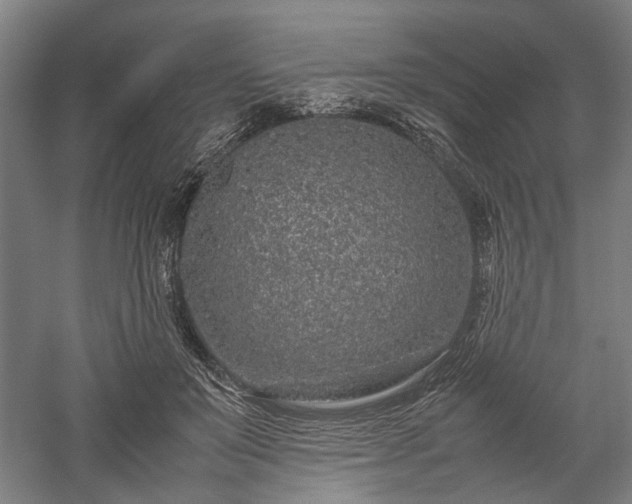 X0000057560503200509231203