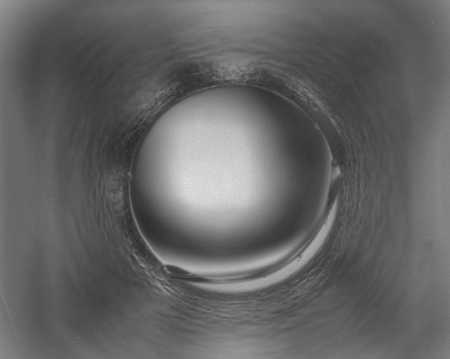 X0000057560505200509231203