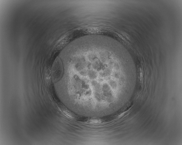 X0000057560507200509231203